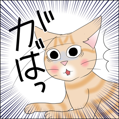 あんこ&麦STORY2480b