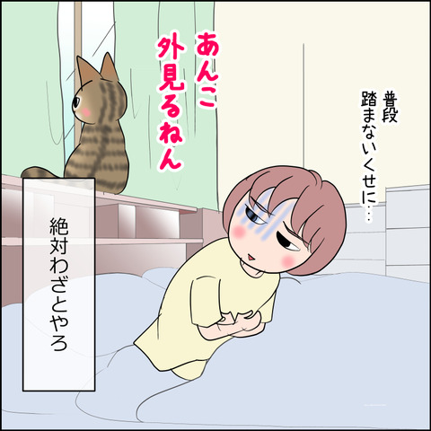 あんこ&麦STORY2484d