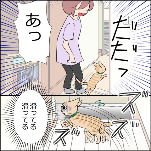 あんこ＆麦STORY2111c