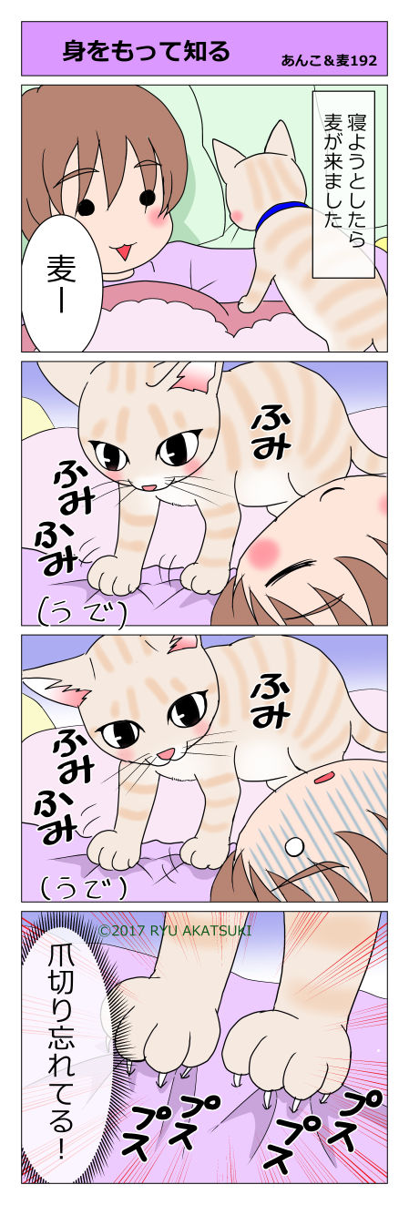 あんこ&麦STORY192