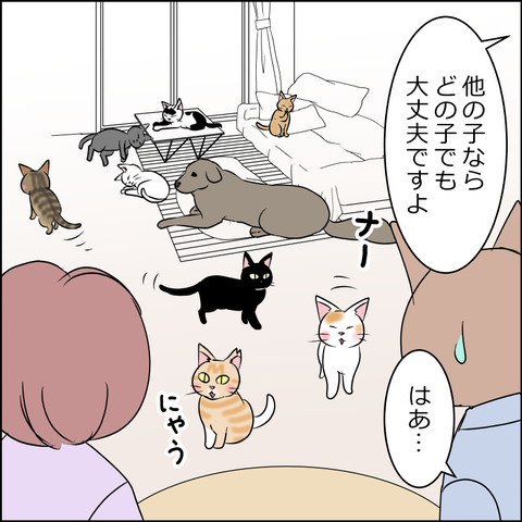 nekokita010c