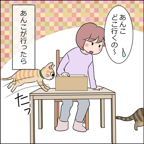 あんこ＆麦STORY1774a