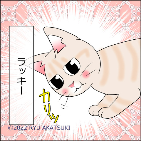 あんこ＆麦STORY1753d