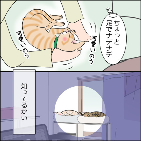 あんこ&麦STORY2019c