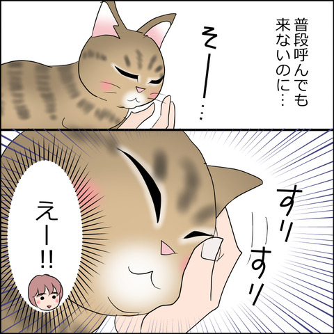 あんこ&麦STORY2167d