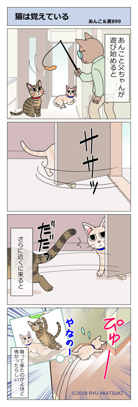 あんこ&麦STORY899