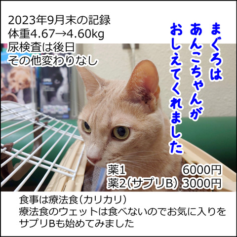 あんこ＆麦kenko83e