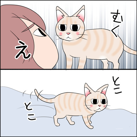 あんこ＆麦STORY2109g