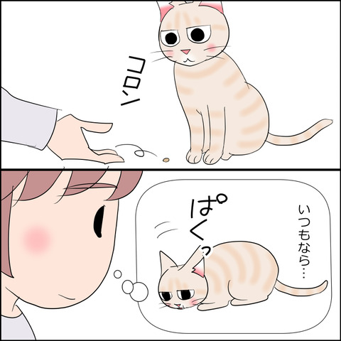 あんこ＆麦STORY2280b