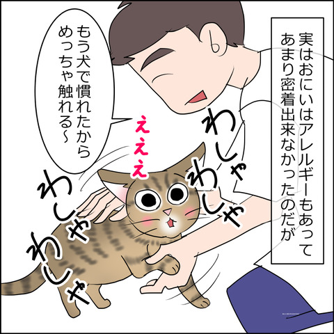 あんこ&麦STORY2481c