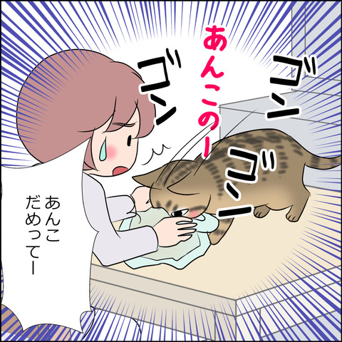 あんこ＆麦STORY1808c