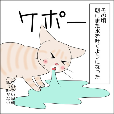 あんこ＆麦kenko121c