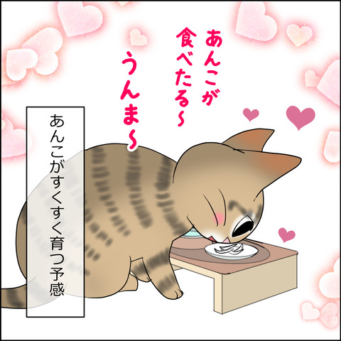 あんこ&麦STORY2472d