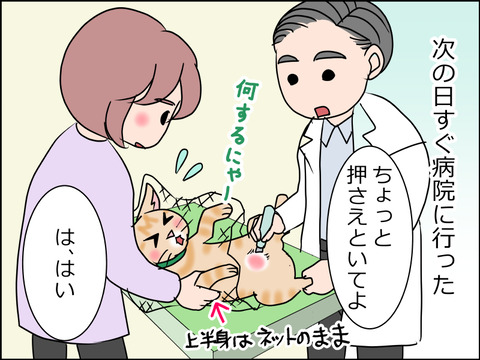 あんこ&麦kenko34a