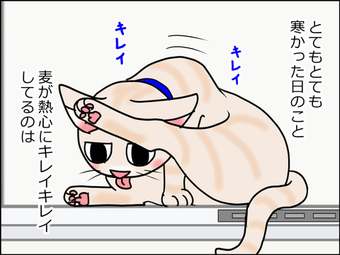 あんこ&麦STORY1528a