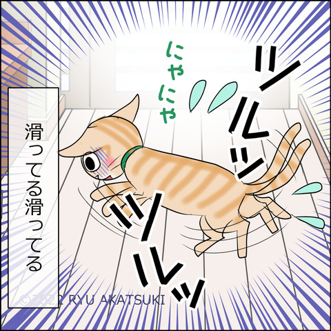 あんこ&麦STORY1640d