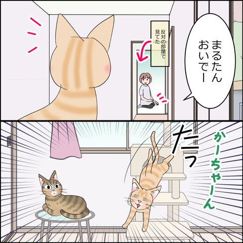 あんこ＆麦STORY2355c