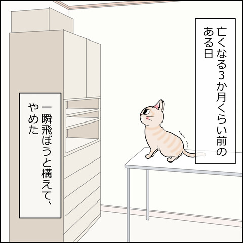 あんこ&麦STORY2495c