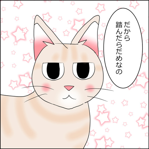 あんこ＆麦STORY2260c