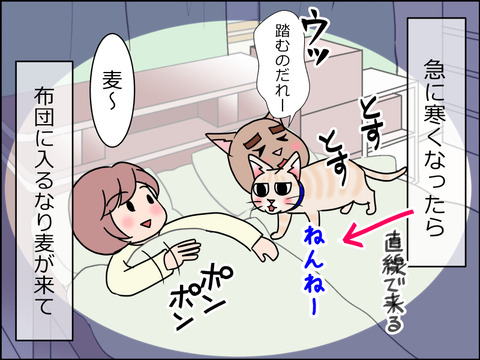 あんこ&麦STORY1468a