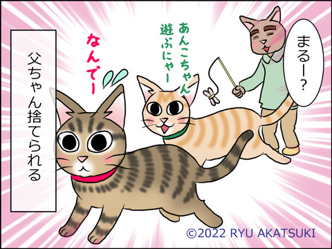 あんこ&麦STORY1572d