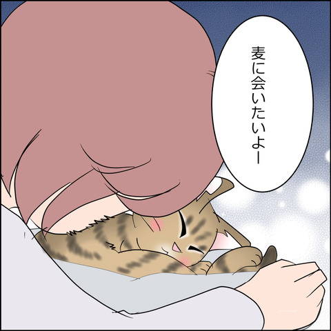 あんこ＆麦STORY2442c