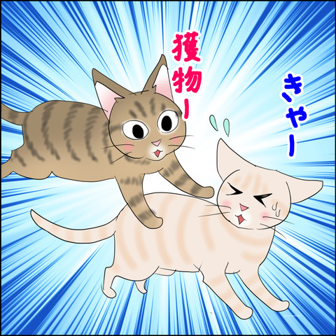 あんこ＆麦STORY2341e