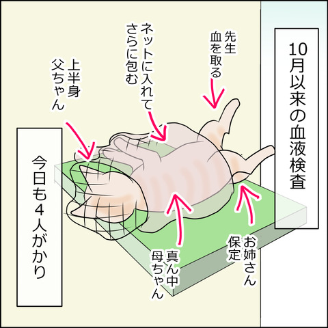 あんこ＆麦kenko74b