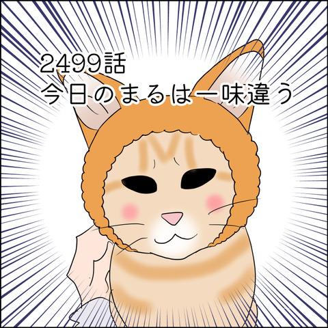 あんこ&麦STORY2499@