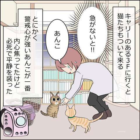 hinan003b