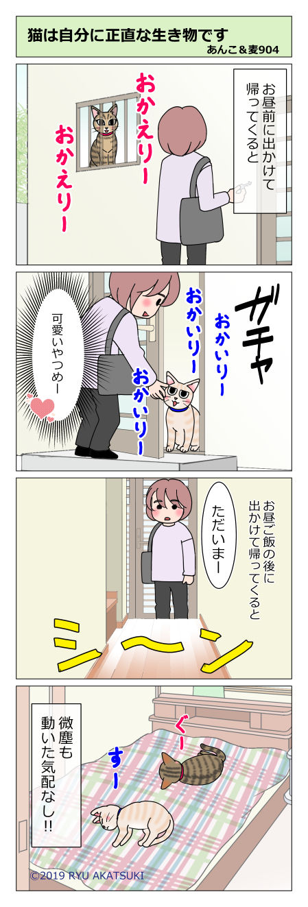 あんこ&麦STORY904