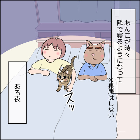 あんこ&麦STORY2494a