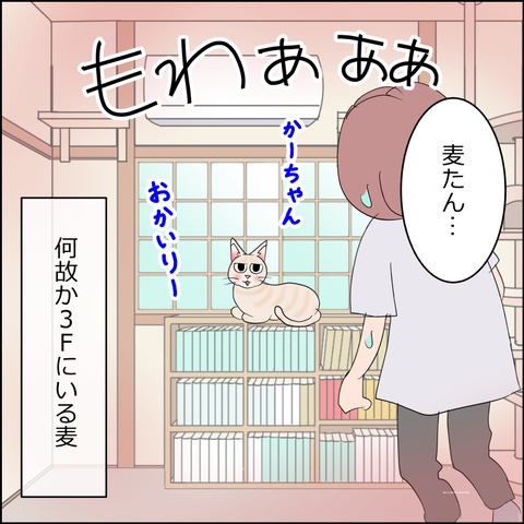 あんこ＆麦STORY2330d