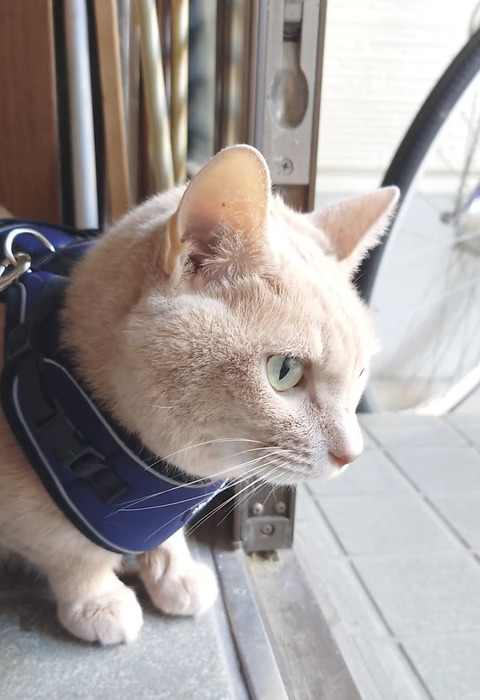 Screenshot_20251112-182900