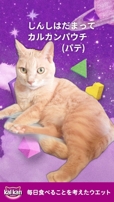 0369d