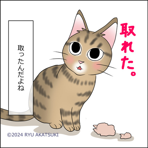 あんこ＆麦STORY2048d