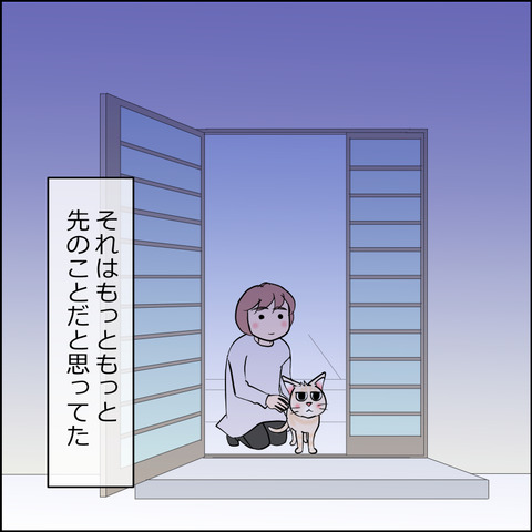 mugitabi019d