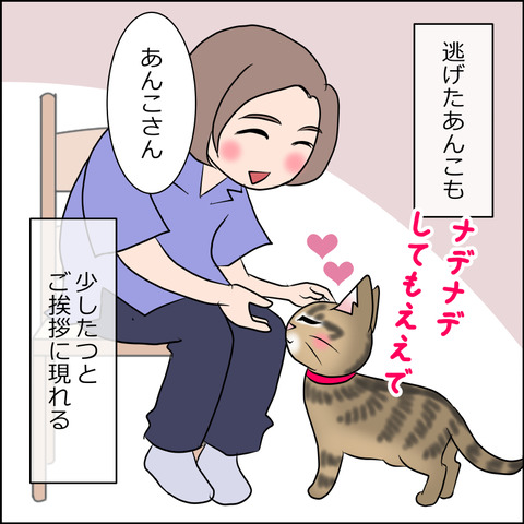 あんこ&麦STORY1641b