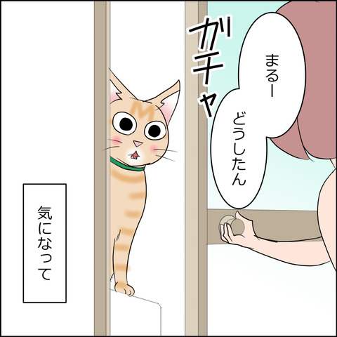 あんこ＆麦STORY2251c