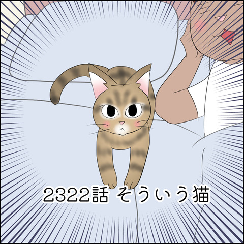 あんこ＆麦STORY2322@
