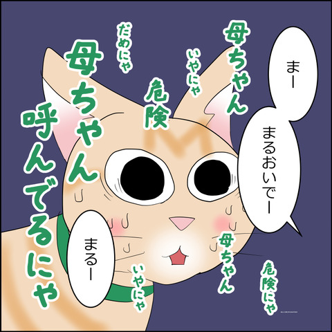 あんこ＆麦STORY2282c