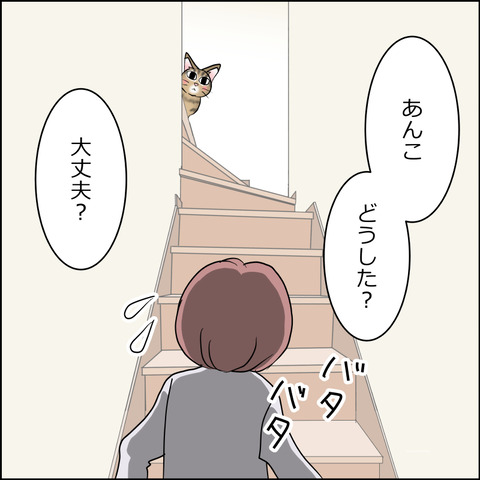 あんこ＆麦STORY2452b
