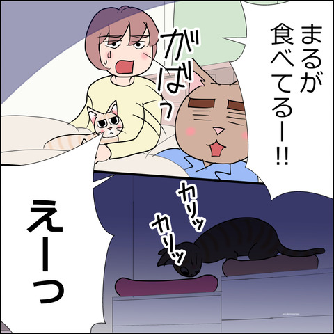 あんこ&麦STORY2406c