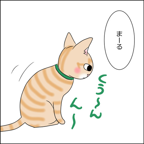 あんこ&麦STORY2021b