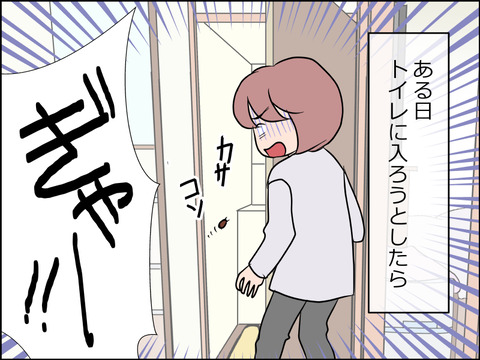 あんこ＆麦STORY1615a