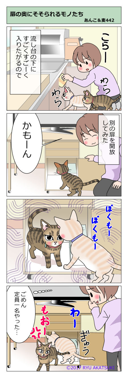 あんこ&麦STORY442