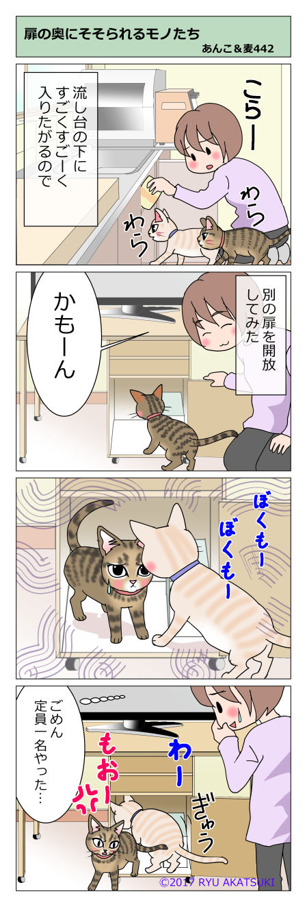 あんこ＆麦STORY442