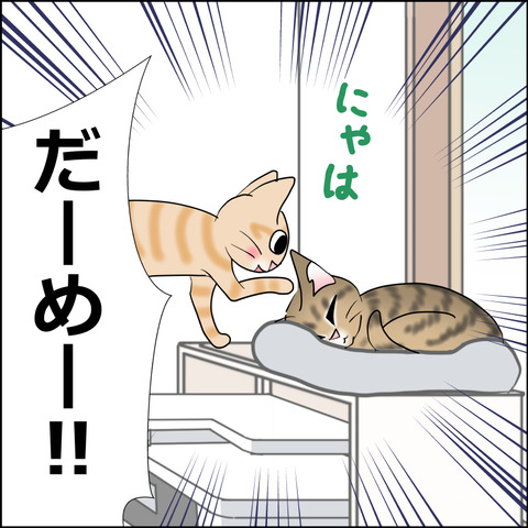 あんこ＆麦STORY2416d