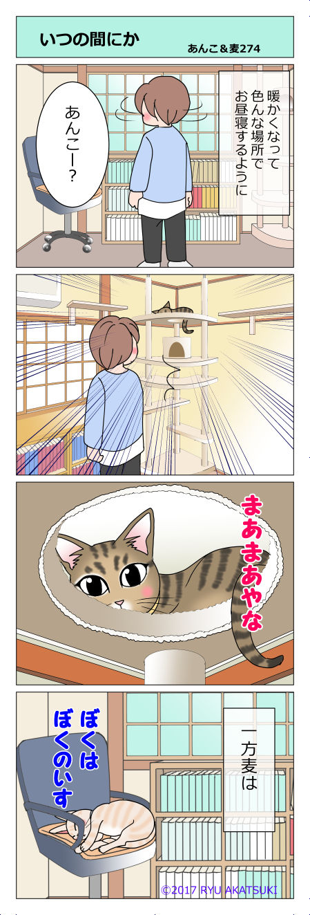 あんこ&麦STORY274