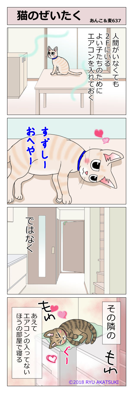 あんこ&麦STORY637